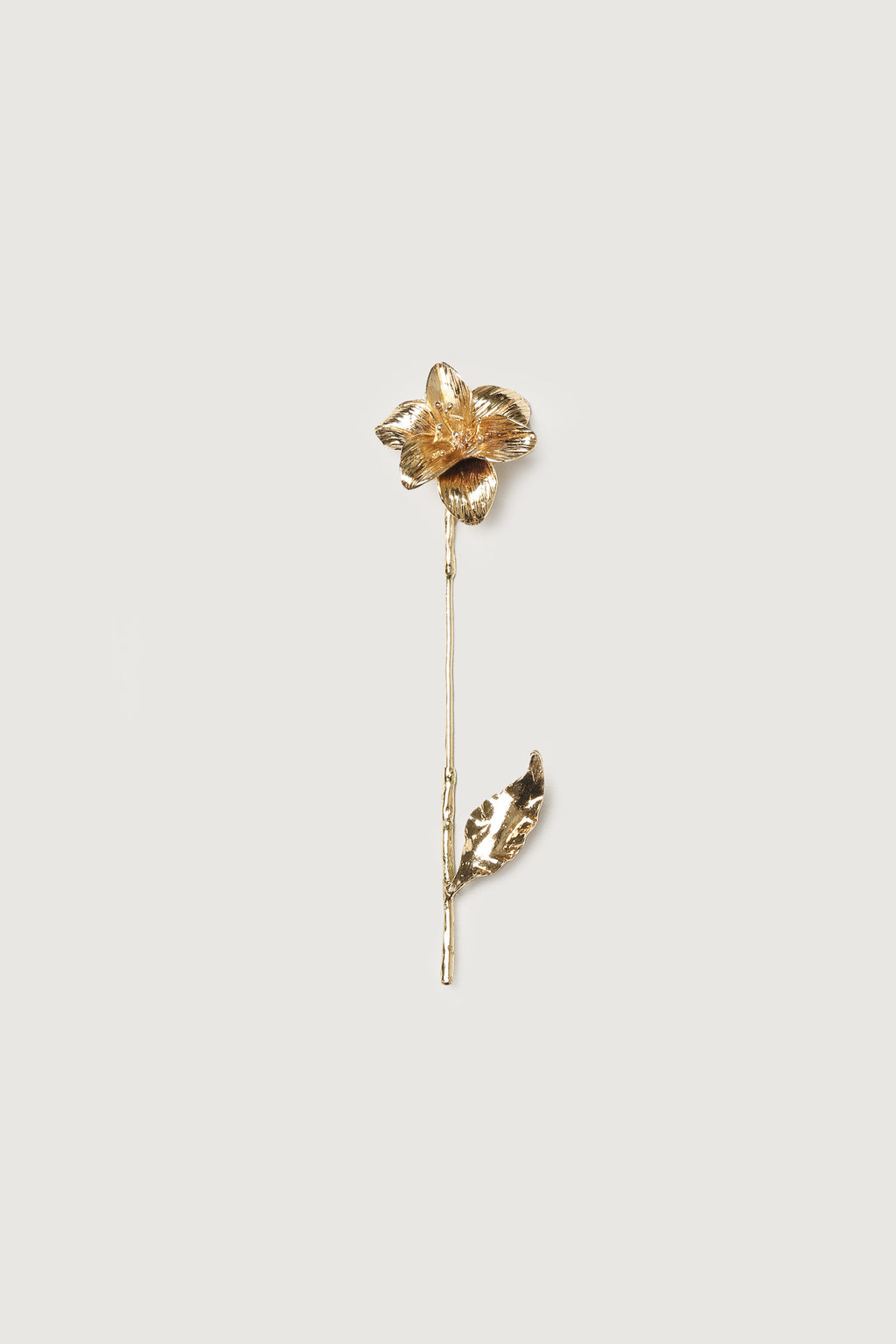 The Secret Brooch