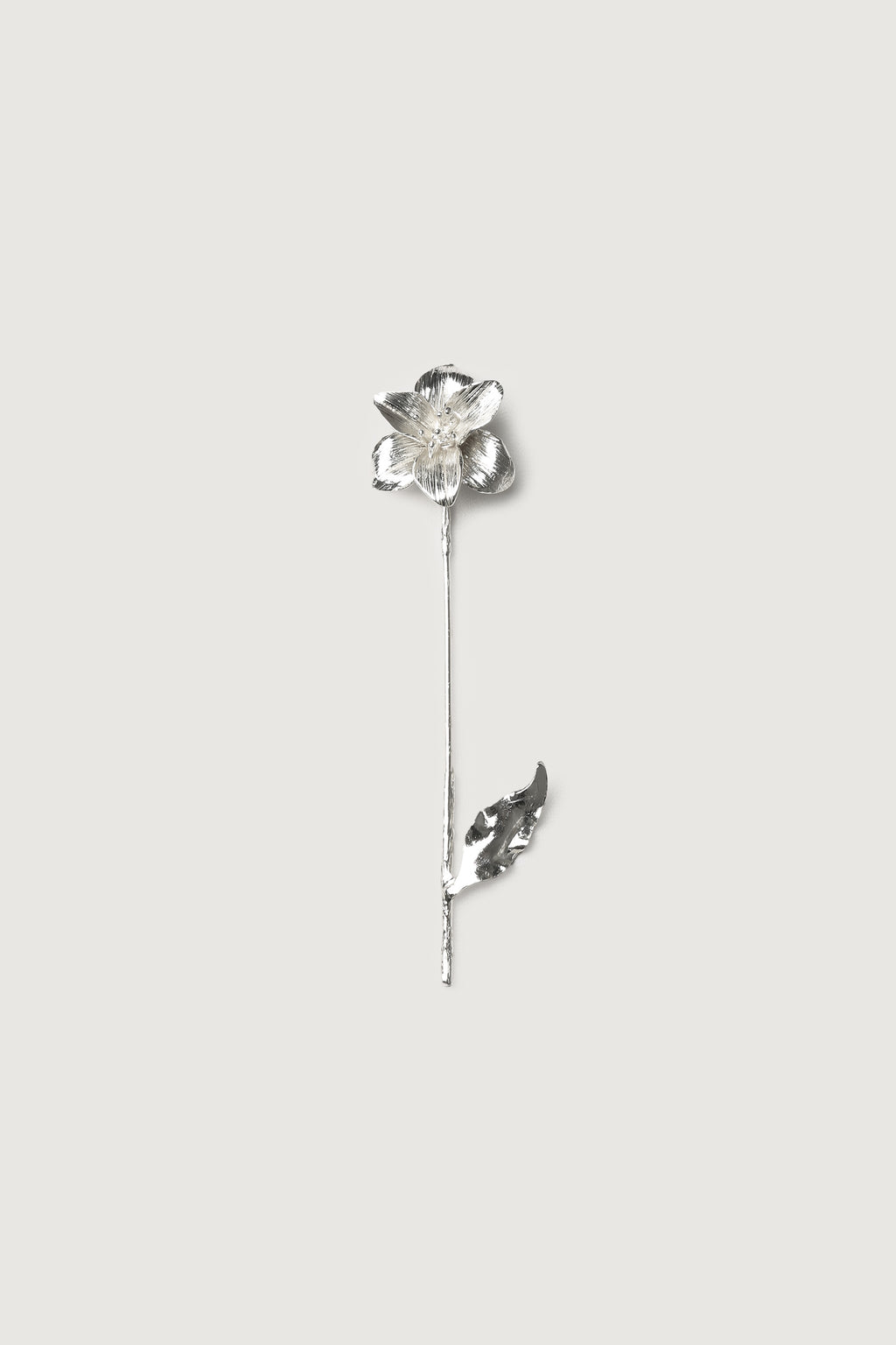 The Secret Brooch