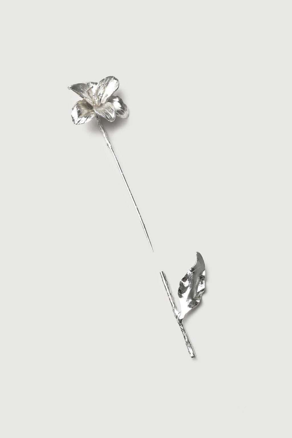 The Secret Brooch