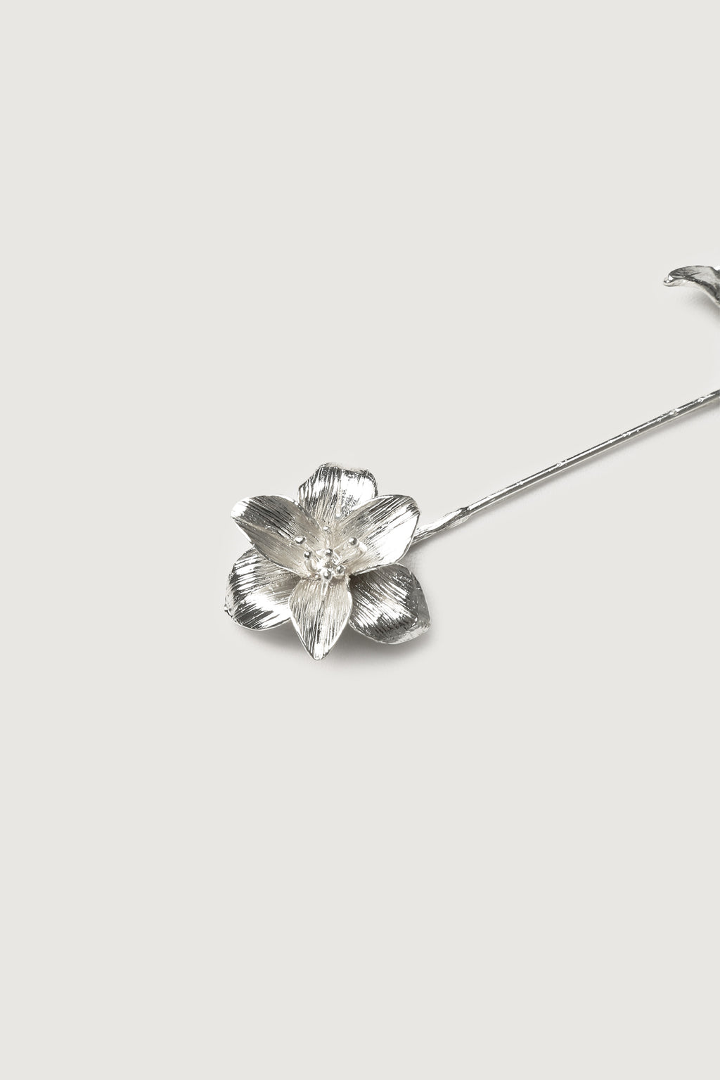 The Secret Brooch